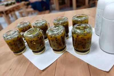 2026第三人生:行旅健康之百香果食農體驗與養生果醬製作活動圖片