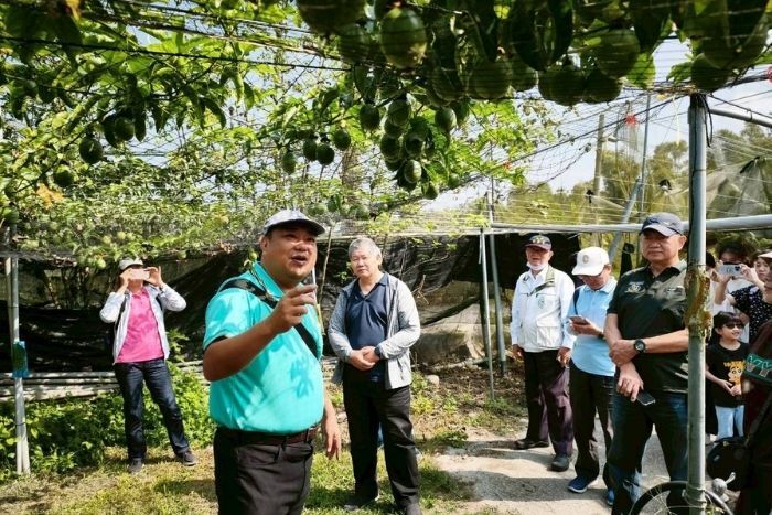 百香果栽培與農園管理解說