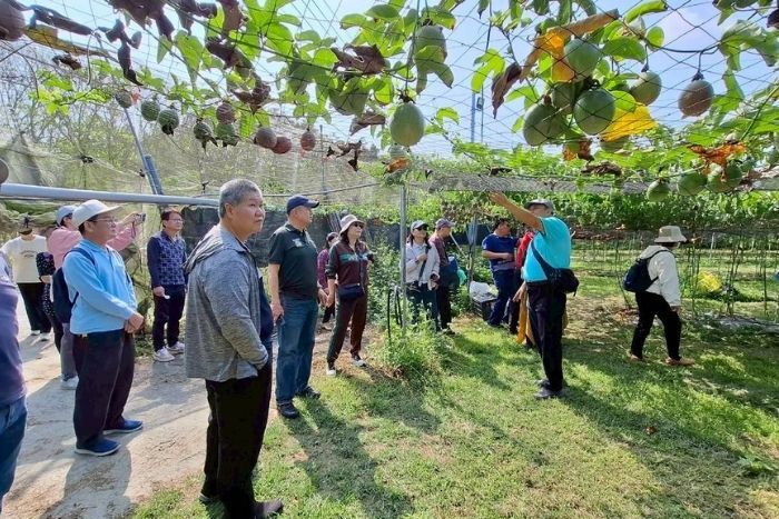 百香果栽培與農園管理解說